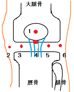 ひざ周辺の痛み